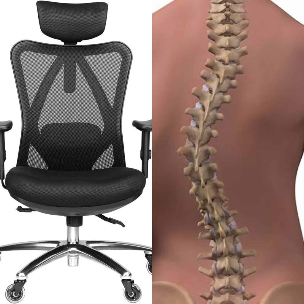 Best Office Chair for Scoliosis in April 2024