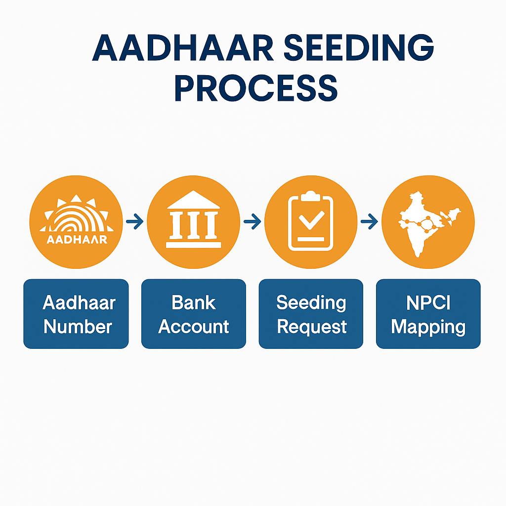 Aadhaar Seeding Status with Bank: How to Check, Link & Troubleshoot 2 Infographic showing seeding process flow